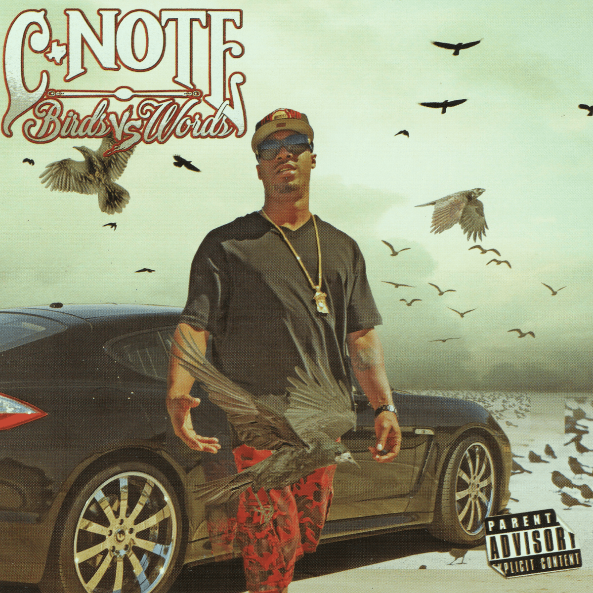 C-Note - Birds Vs Words