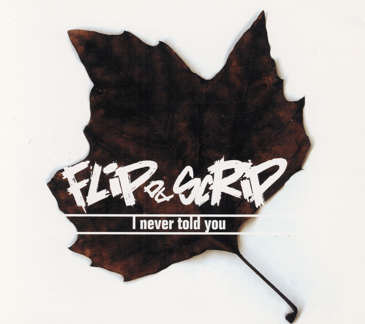 Flip Da Scrip - I Never Told You