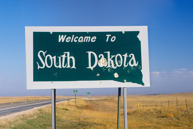 ✴︎ South Dakota ✴︎