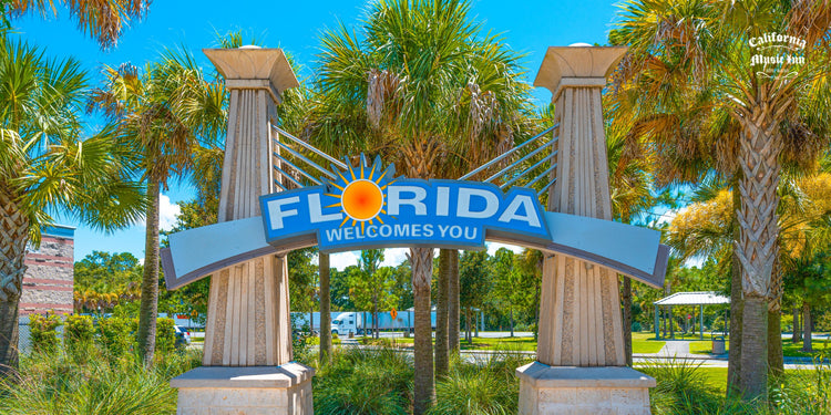 ✴︎ Florida ✴︎
