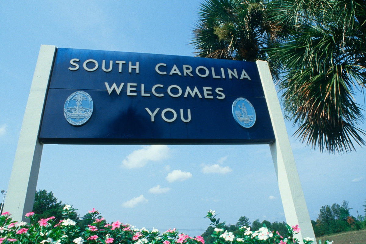 ✴︎ South Carolina ✴︎