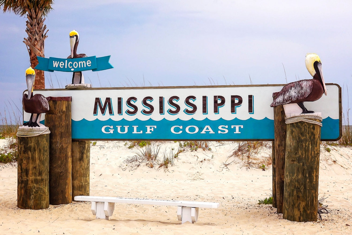 ✴︎ Mississippi ✴︎