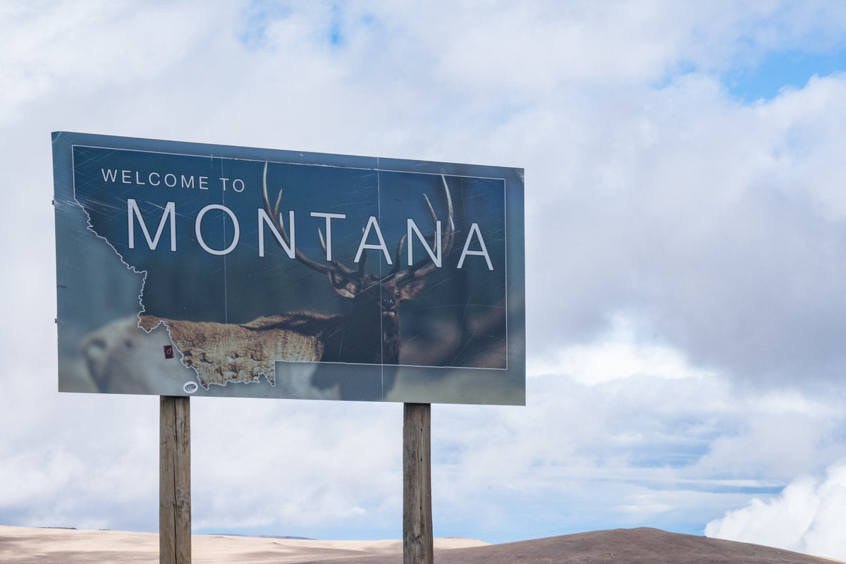 ✴︎ Montana ✴︎