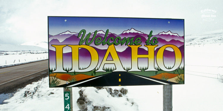 ✴︎ Idaho ✴︎