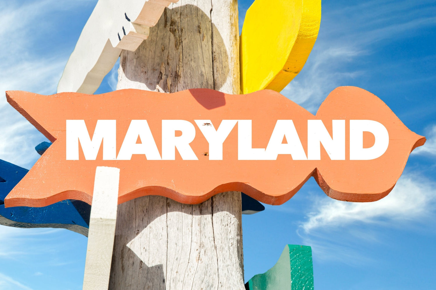 ✴︎ Maryland ✴︎