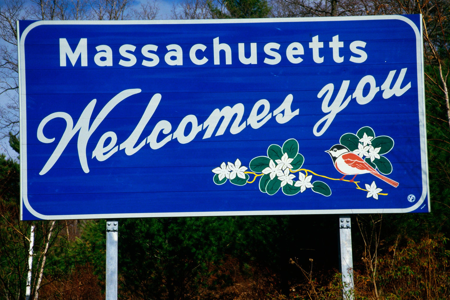 ✴︎ Massachusetts ✴︎