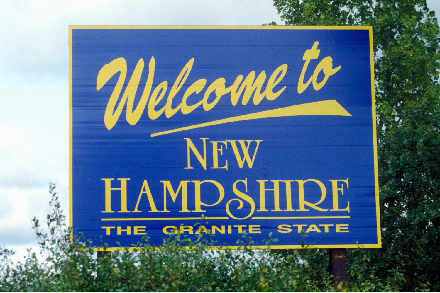 ✴︎ New Hampshire ✴︎
