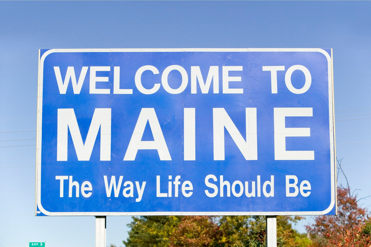 ✴︎ Maine ✴︎