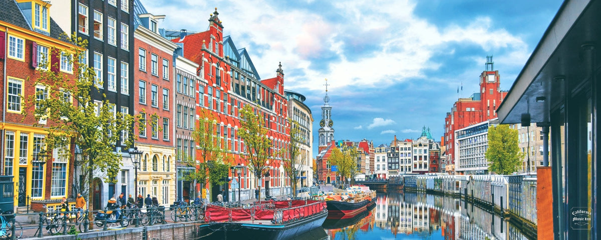 ✴︎ Netherlands ✴︎
