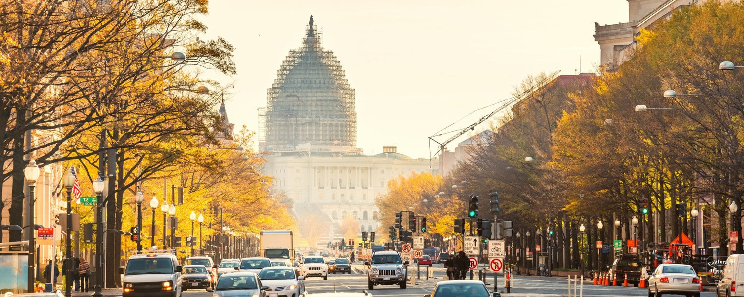 ✴︎ Washington ✴︎