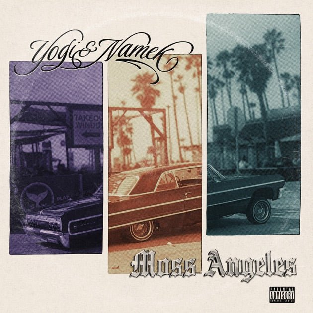 Yogi & Namek - Moss Angeles