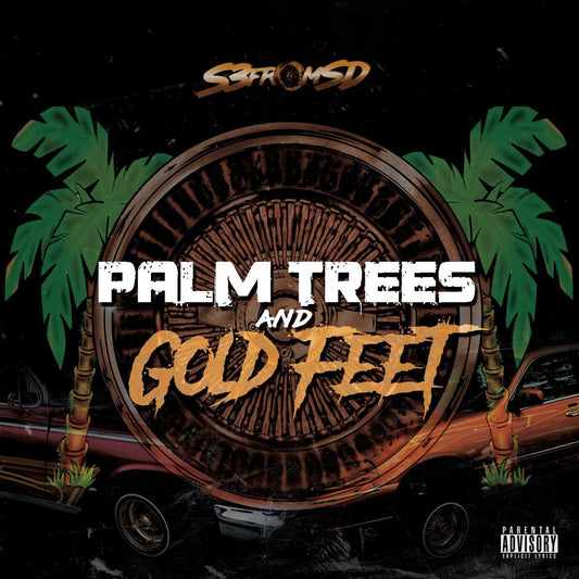 S3FromSD_Palm_Tree_And_Gold_Feet_Sign
